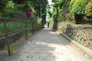 お茶屋坂（坂の上から見下ろす）