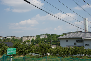 菅馬場公園付近から寺尾台団地を臨む