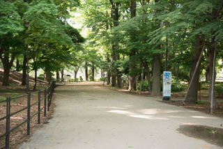 砧公園