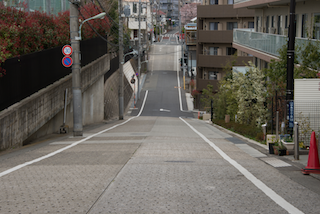 二本木橋から東京都立大田桜台高校方向を望む