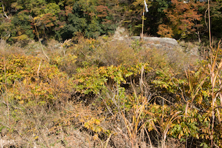 長瀞岩畳