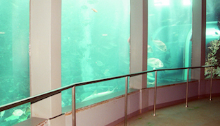 海中水族館アクアドーム内部
