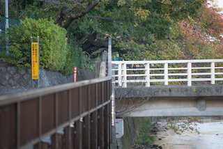 仙川 無名三号橋からみた東原橋