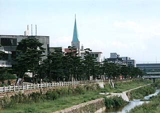 芦屋川上流からの眺め