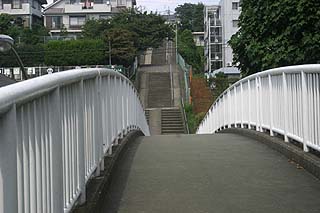 たまプラーザの団地に架かる歩道橋の上