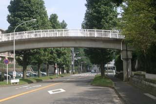 たまプラーザの団地に架かる歩道橋の外観