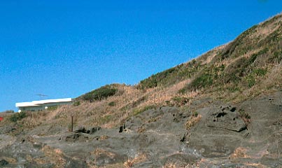 城ヶ島灯台近くの丘