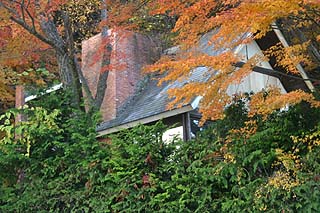 河口湖町の建物（違う角度から）