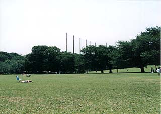 砧公園