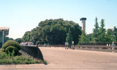 駒沢通り上にかかる橋