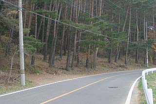 西湖キャンプ場跡地