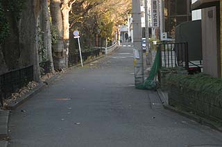 マンション脇の歩道