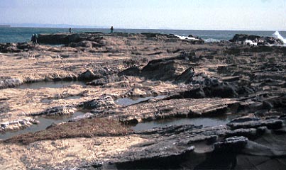 剣崎の岩場